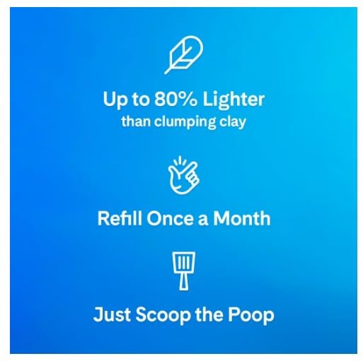 Clumping Cat Litter 10 Lb Unscented N732