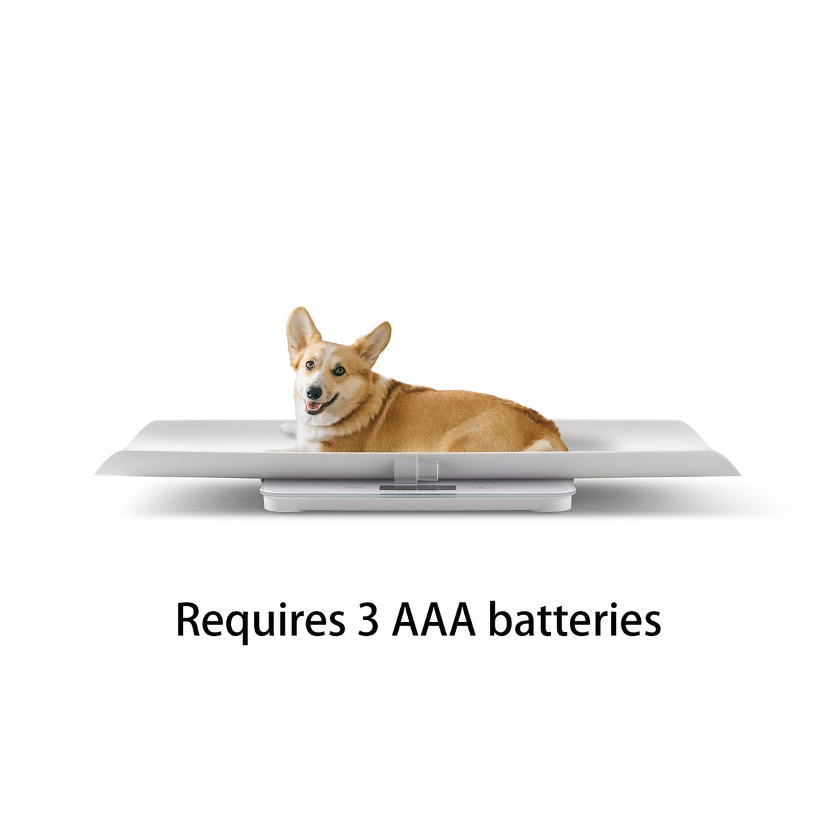 400lbs Pet Weight Scale with LED Screen O84574