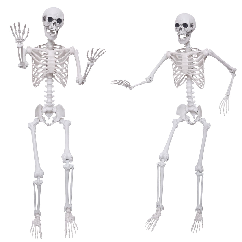 5.4Ft Posable Life Size Plastic Skeletons N918
