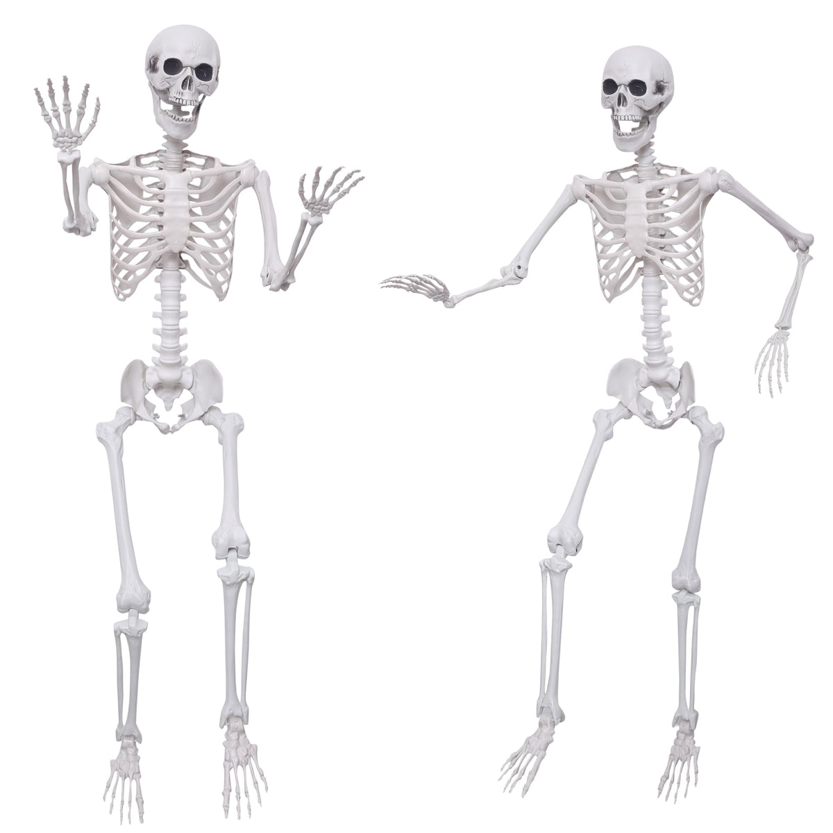5.4Ft Posable Life Size Plastic Skeletons N918
