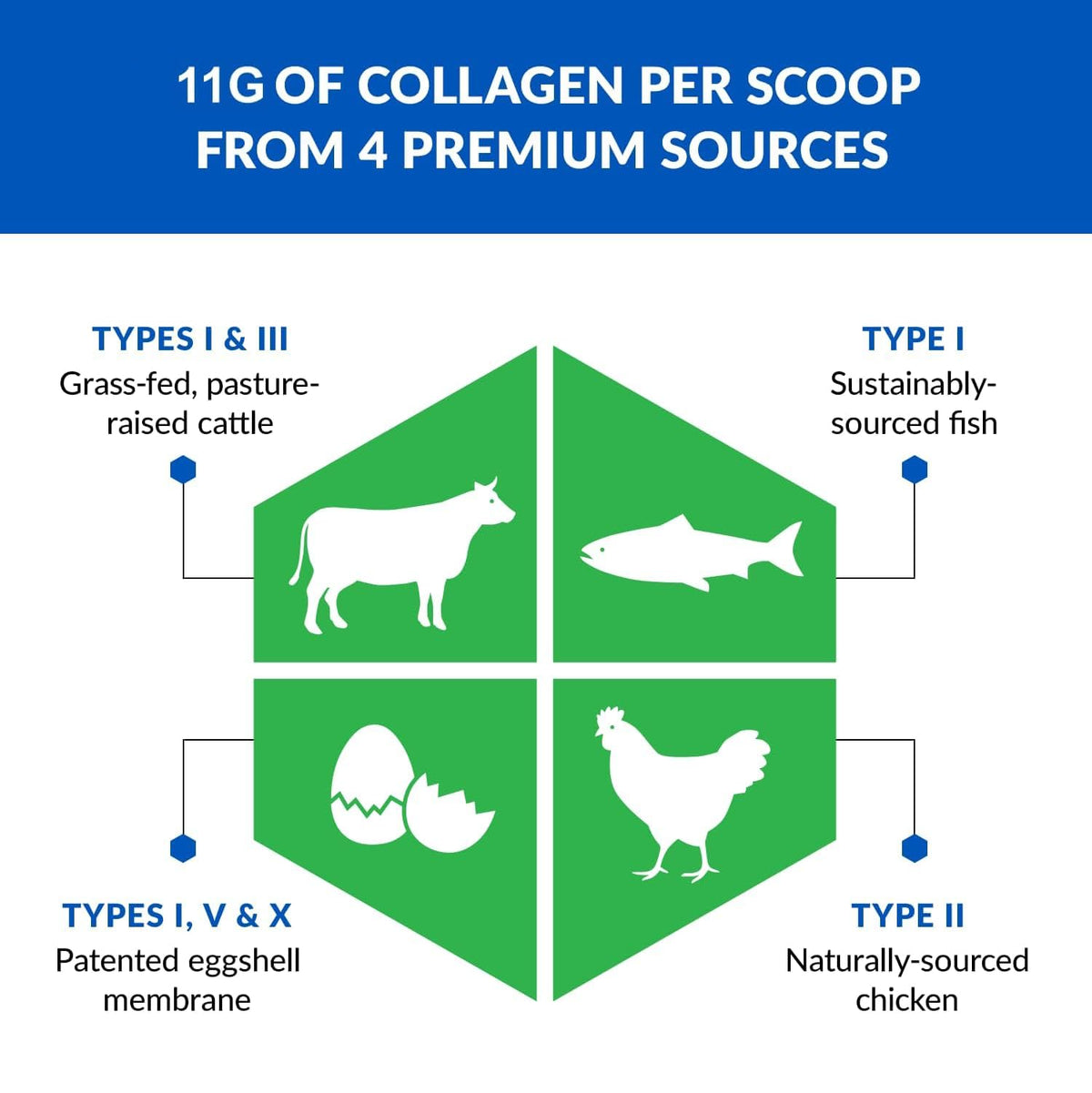 Unflavored Hydrolyzed Grass Fed Collagen Peptides Powder G640