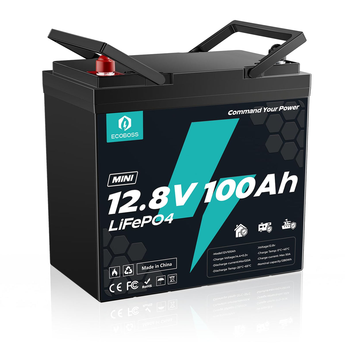 12V 100Ah LiFePO4 Battery O887