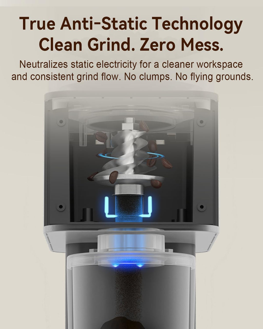Electric Conical Burr Coffee Grinder with Scale F9655