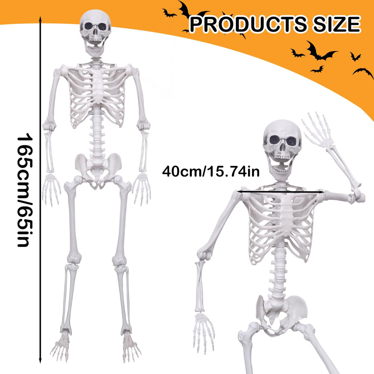 5.4Ft Posable Life Size Plastic Skeletons N918