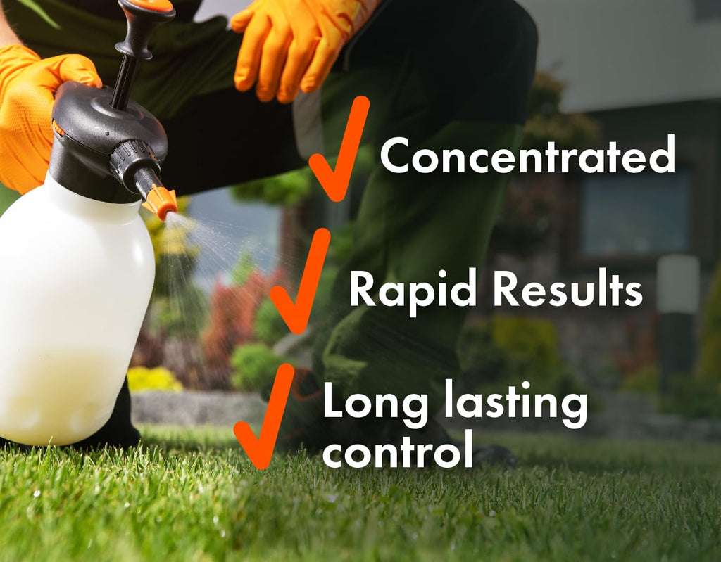 32oz Concentrated Post-Emergent Herbicide for Woody Plants & Broadleaf Weed Control Z9692