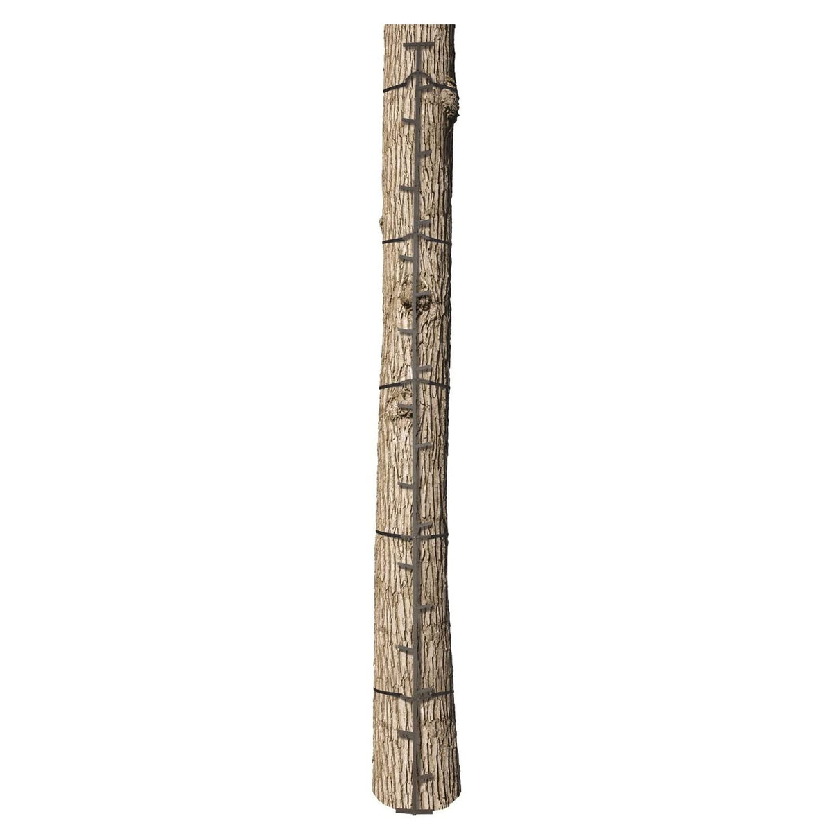 20 Feet Tall Steel Tree Climbing System (2 Pack) M467