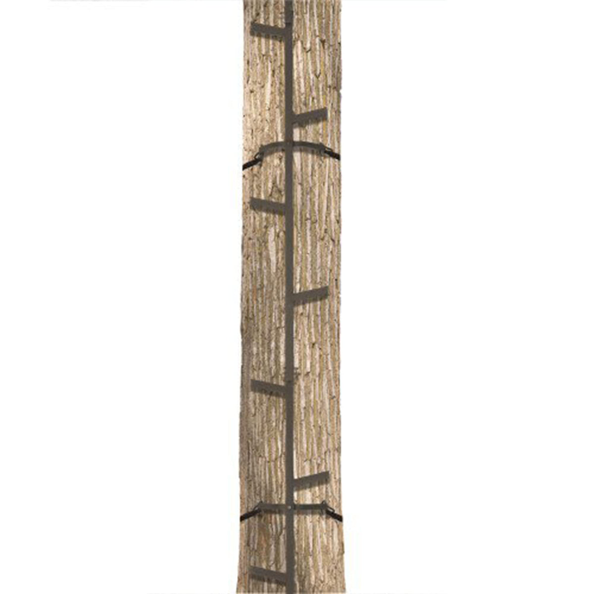 20 Feet Tall Steel Tree Climbing System (2 Pack) M467