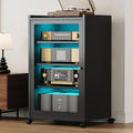 Black Media Cabinet with Glass Door Z56176