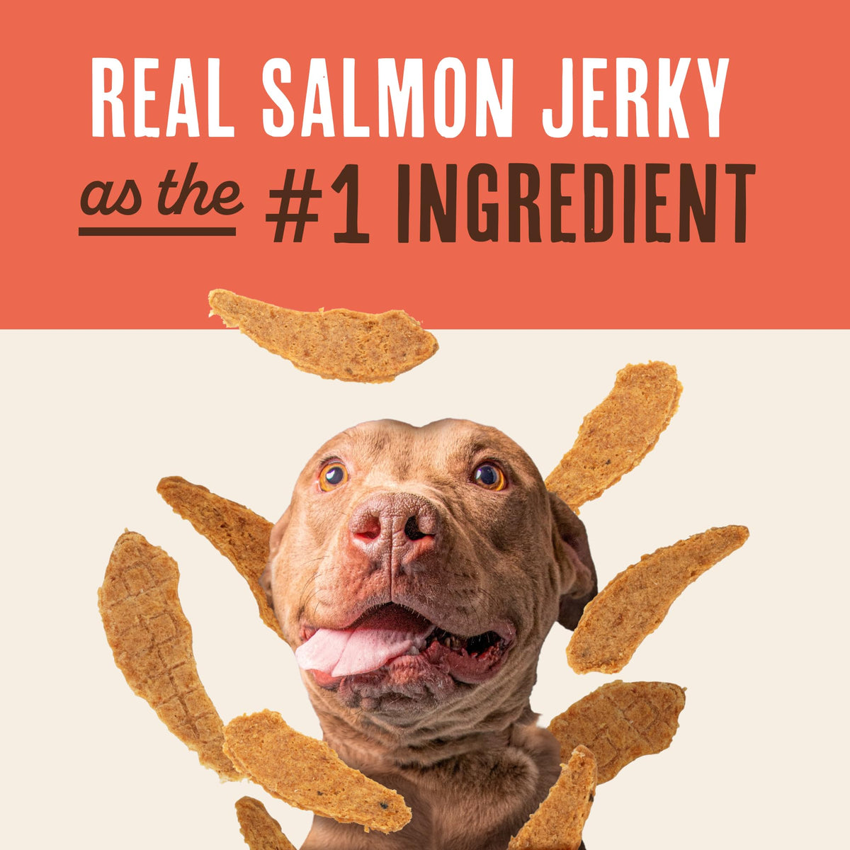 Salmon Jerky Dog Treats 12 oz P149746
