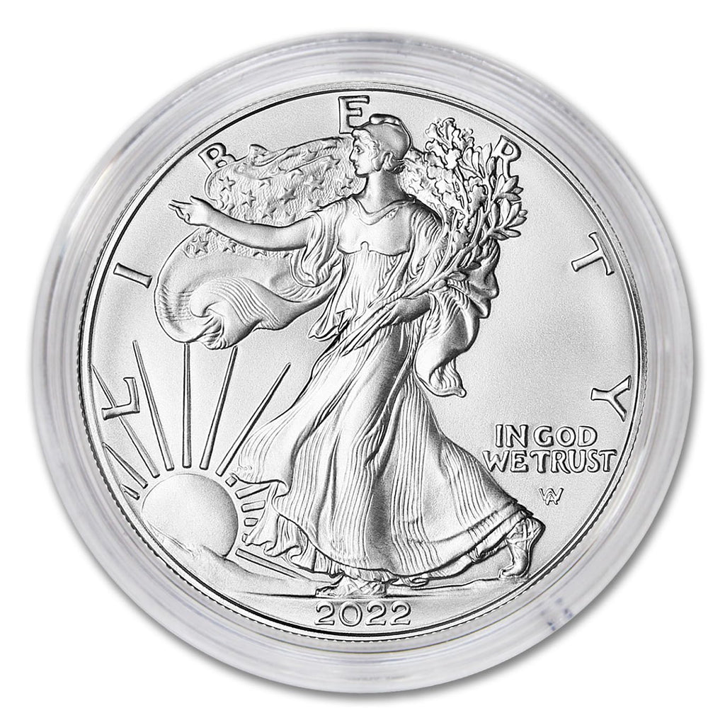 1 oz American Silver Eagle Coin U39918