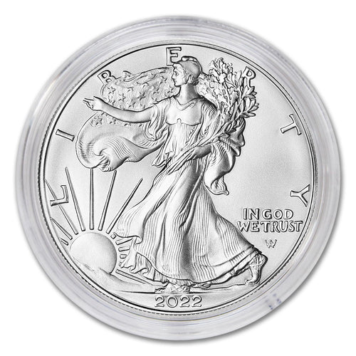 1 oz American Silver Eagle Coin U39918