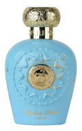 Citrus Fruity Floral Woody Eau de Parfum 3.4 Ounce U126