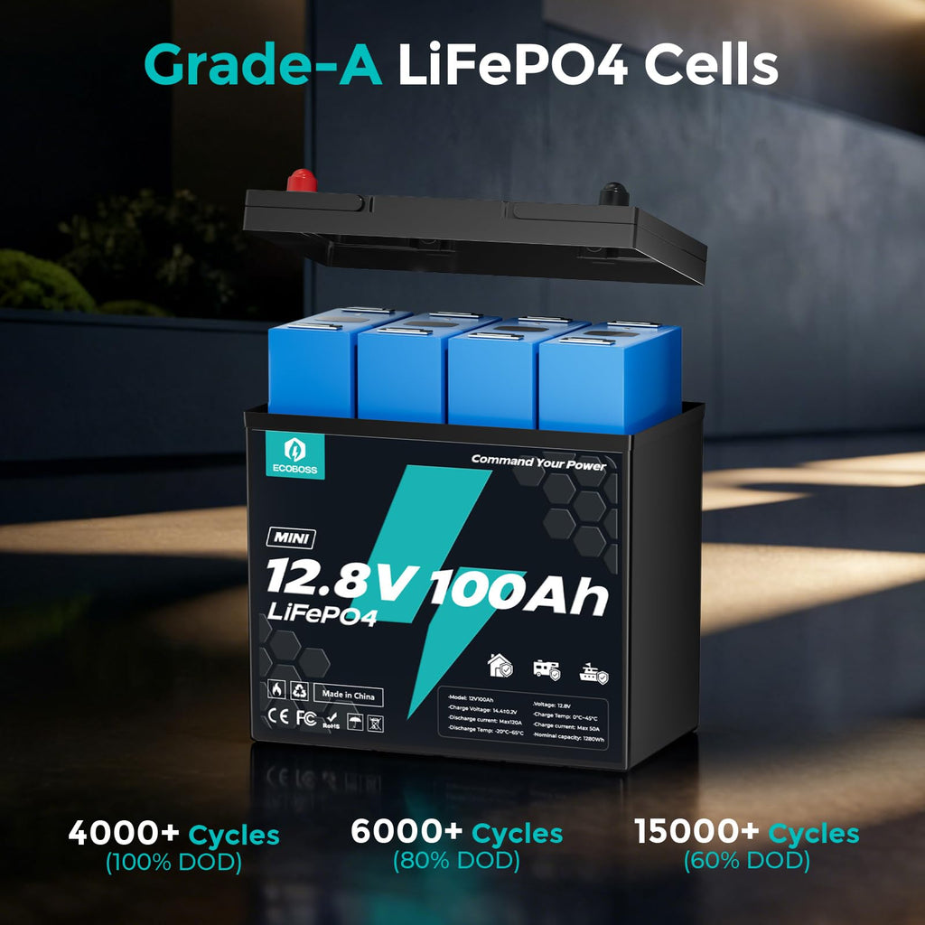 12V 100Ah LiFePO4 Battery O887