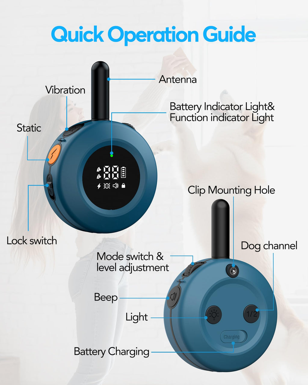 Dog Training Collar with Remote W55911