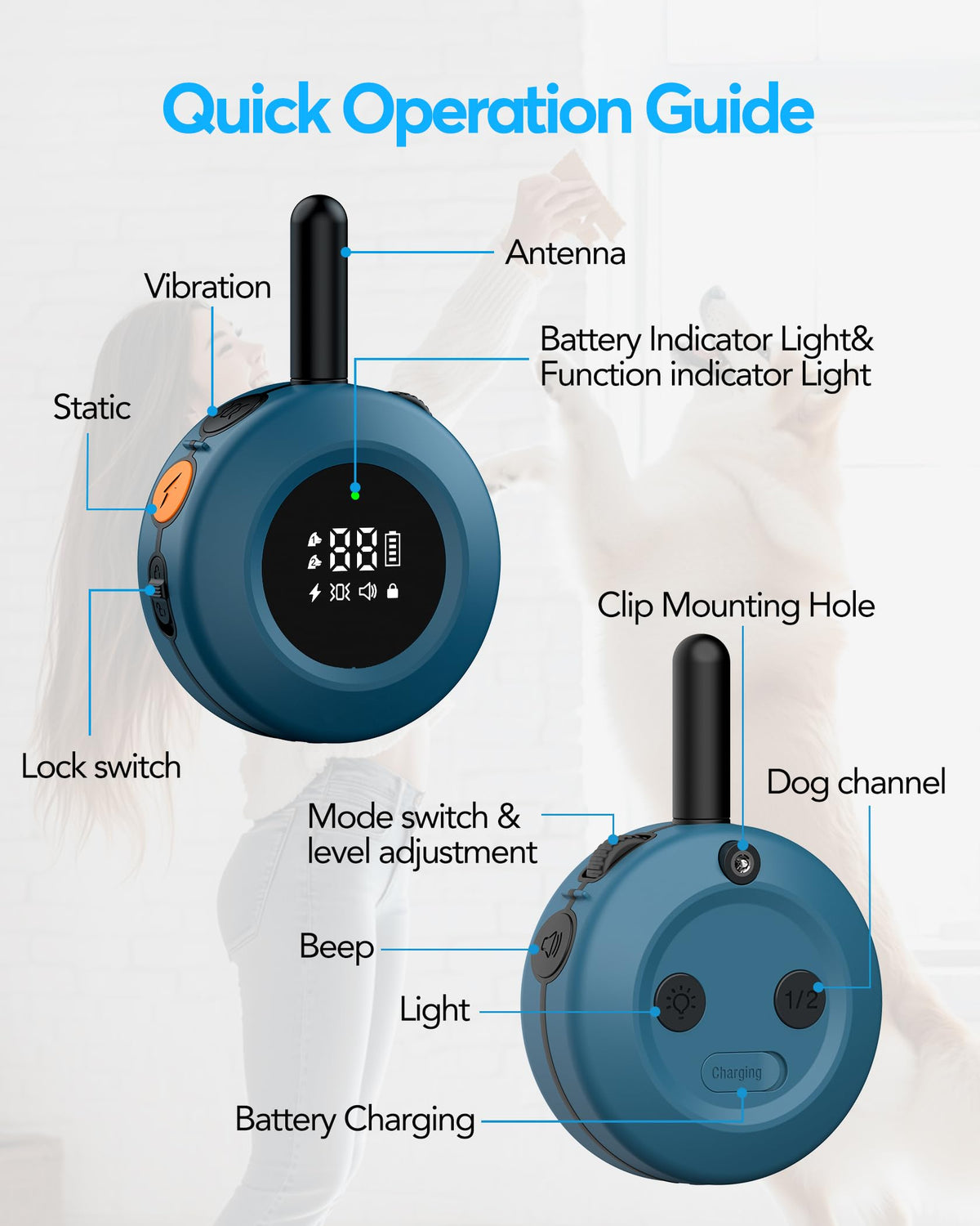 Dog Training Collar with Remote W55911