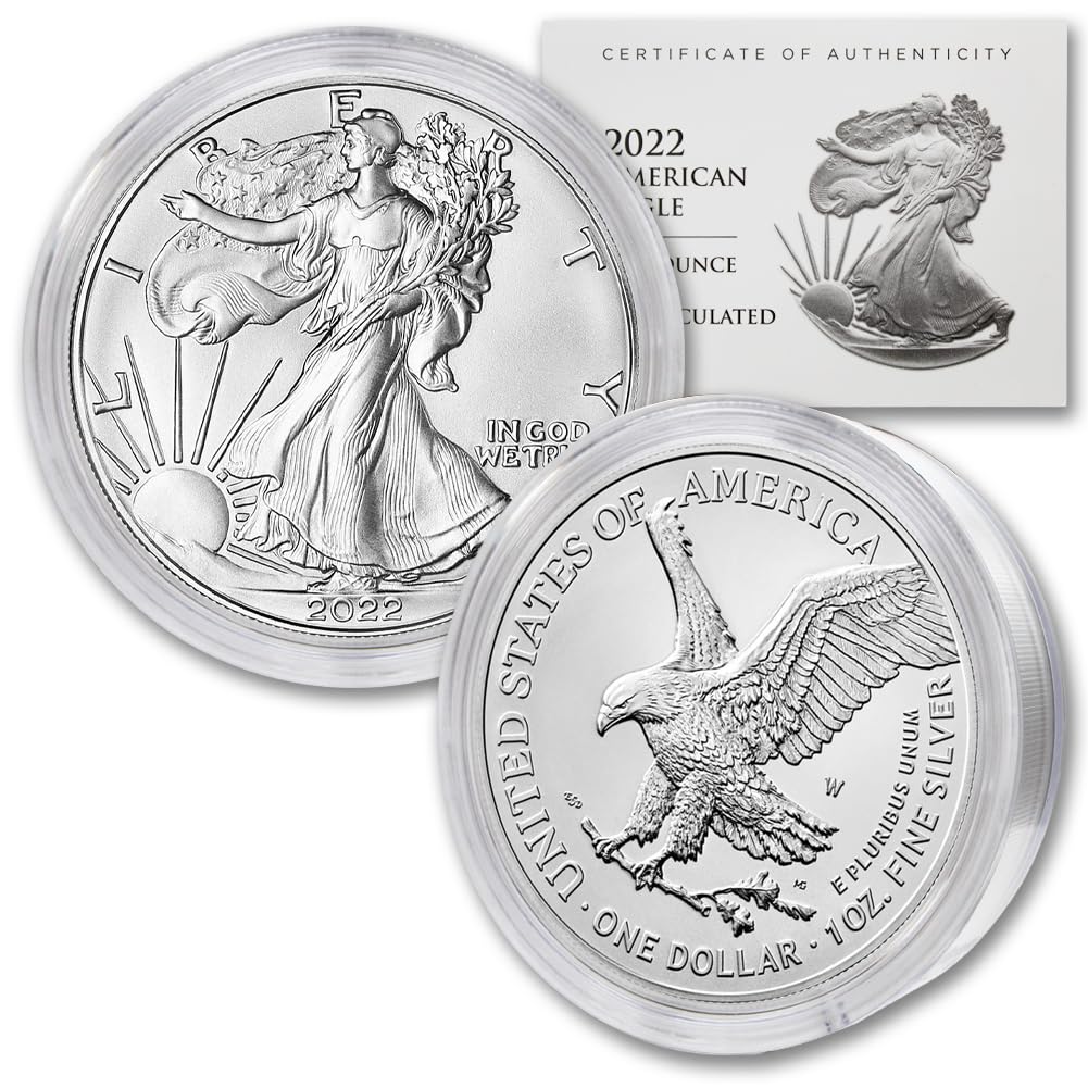 1 oz American Silver Eagle Coin U39918