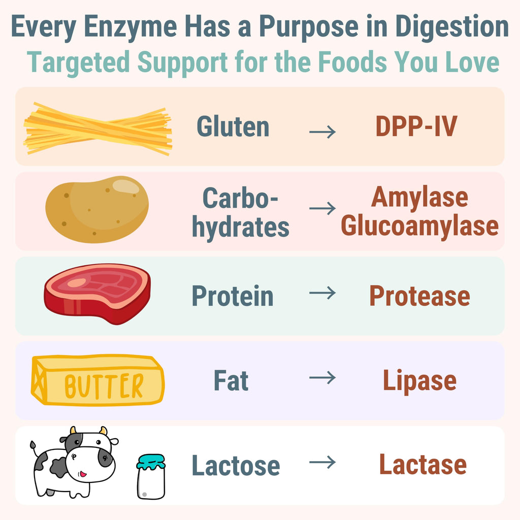 Gluten & Lactase Digestive Enzyme Gummies O71678