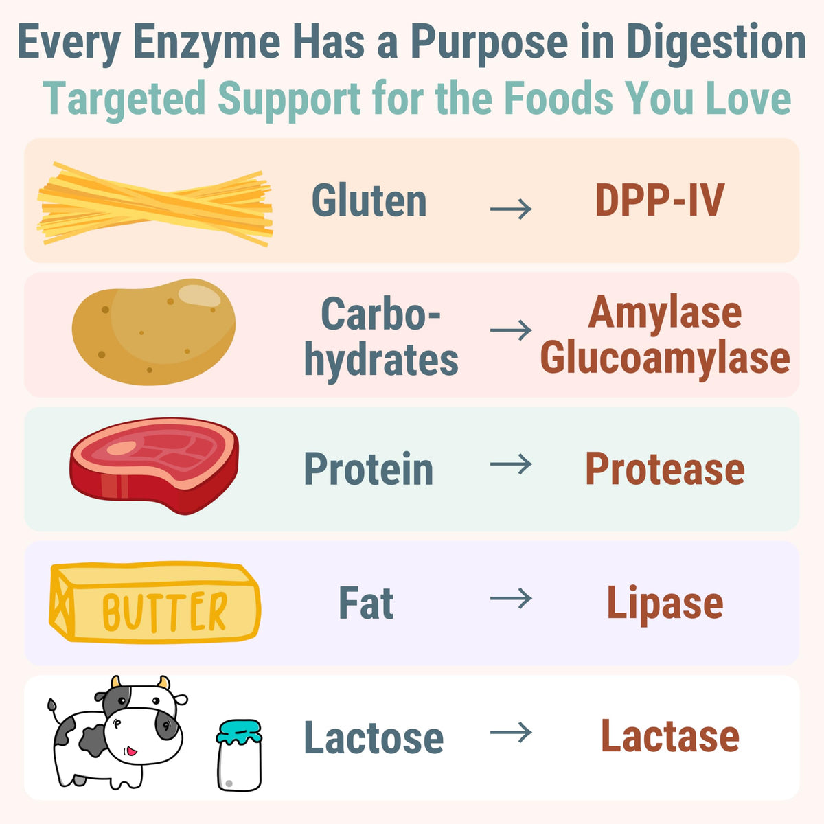Gluten & Lactase Digestive Enzyme Gummies O71678