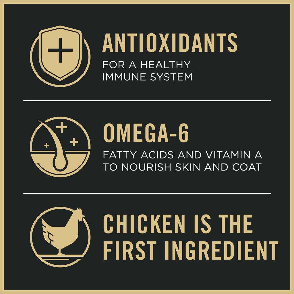 Weight Management Chicken & Rice Dry Dog Food I913