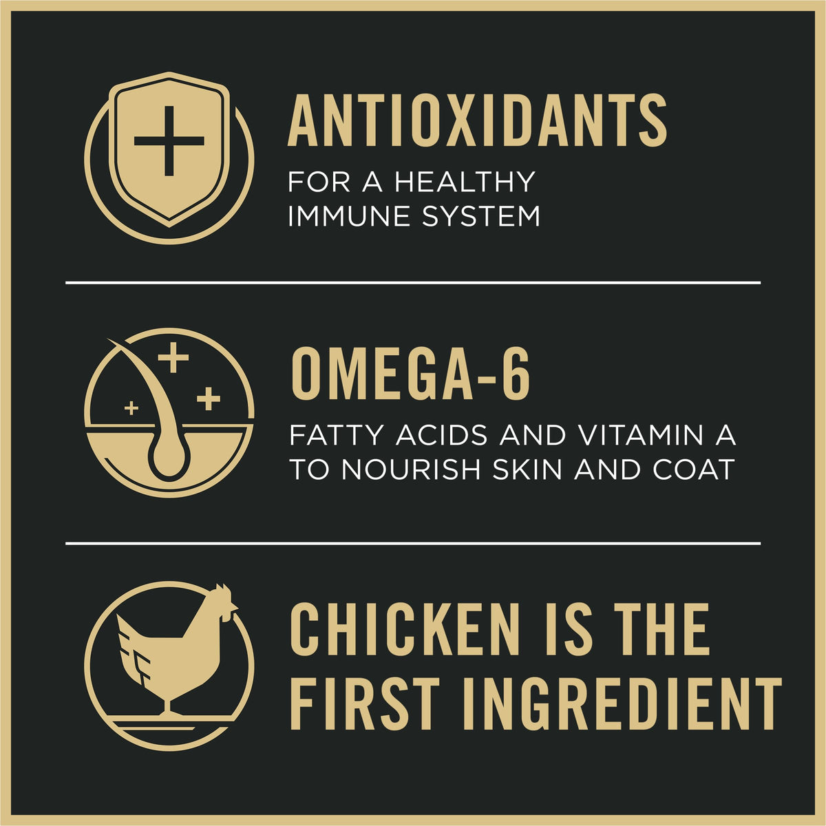 Weight Management Chicken & Rice Dry Dog Food I913