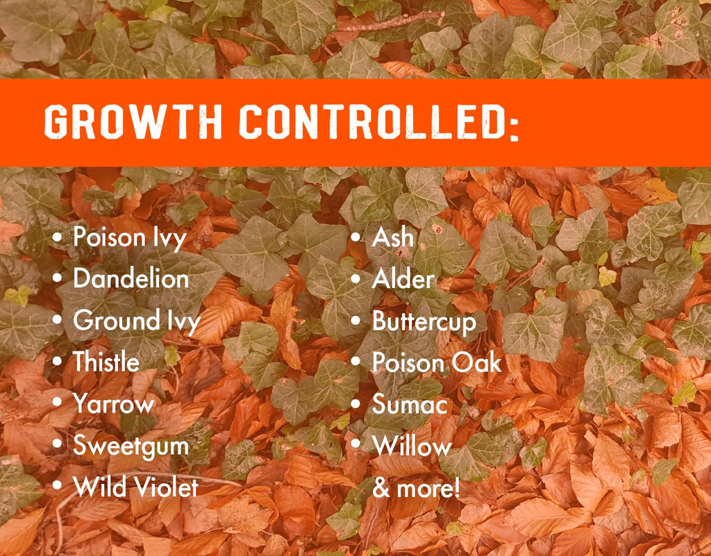 32oz Concentrated Post-Emergent Herbicide for Woody Plants & Broadleaf Weed Control Z9692