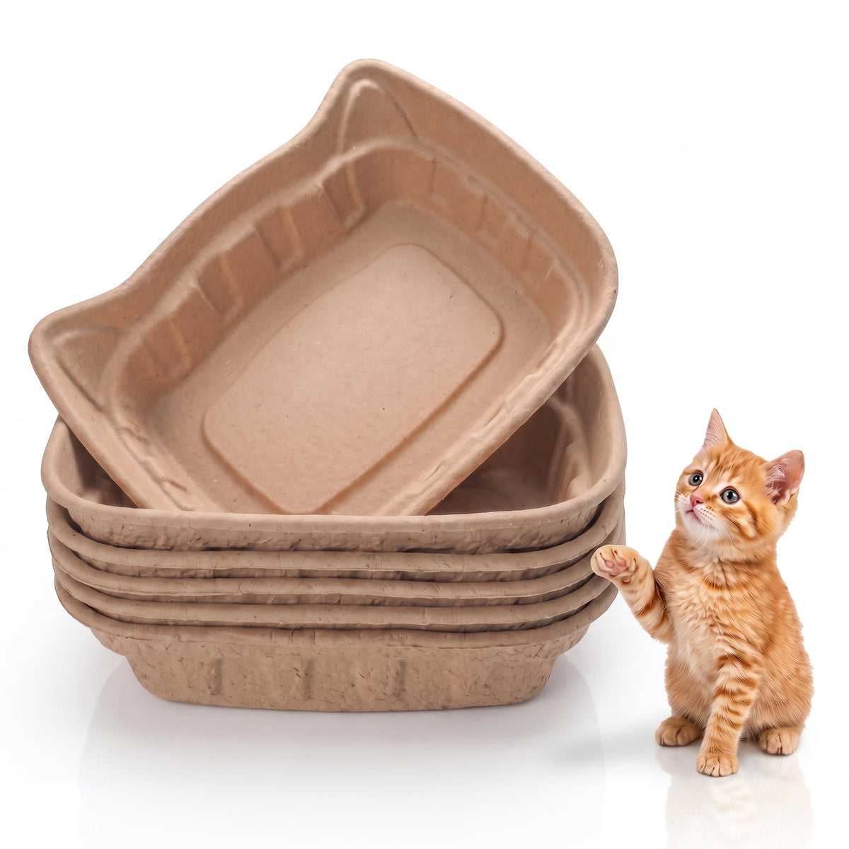 6 Pack Jumbo Disposable Kitten Litter Box N568