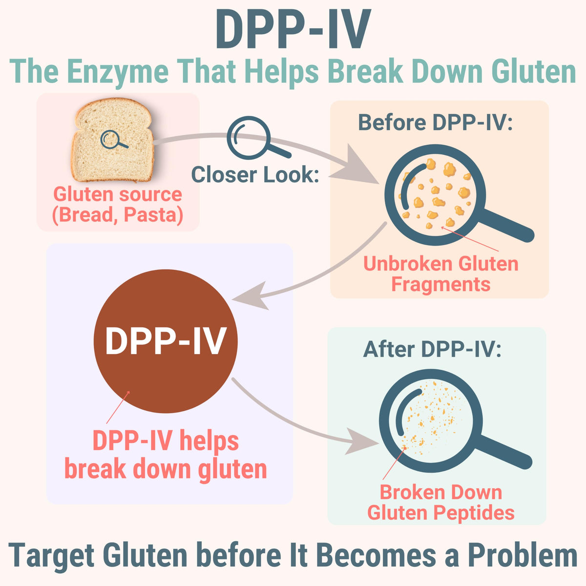 Gluten & Lactase Digestive Enzyme Gummies O71678