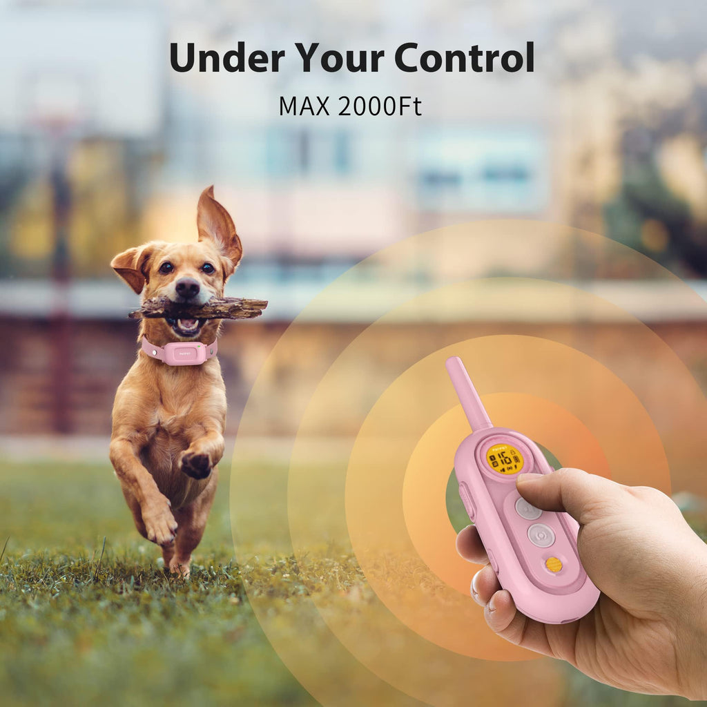 Rechargeable IPX7 Waterproof Dog Training Collar with Remote Q2901