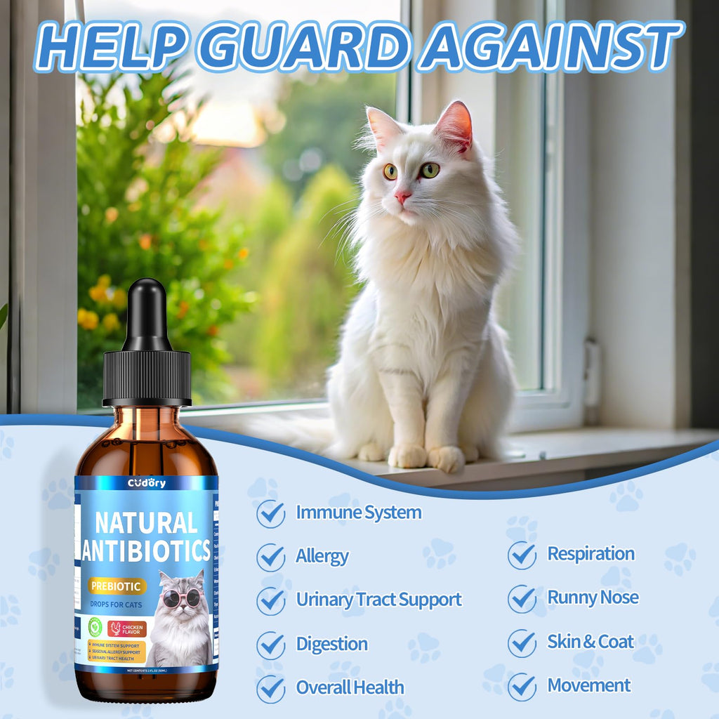 2 fl oz Natural Antibiotics for Cats Y20006