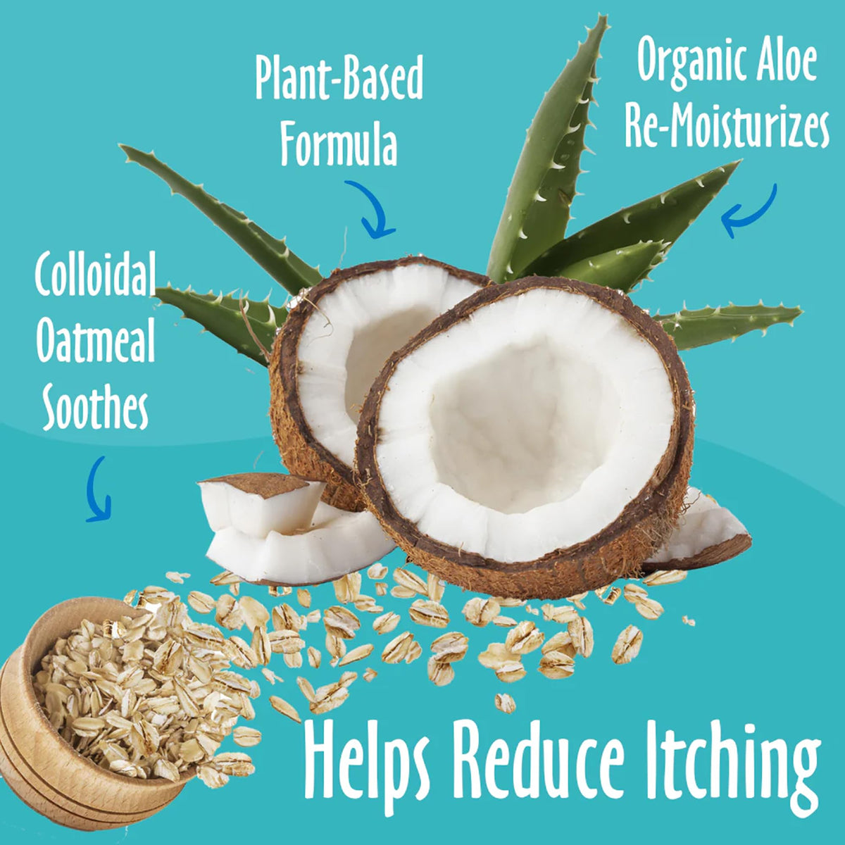 Oatmeal & Aloe Conditioner 16 Oz U62139