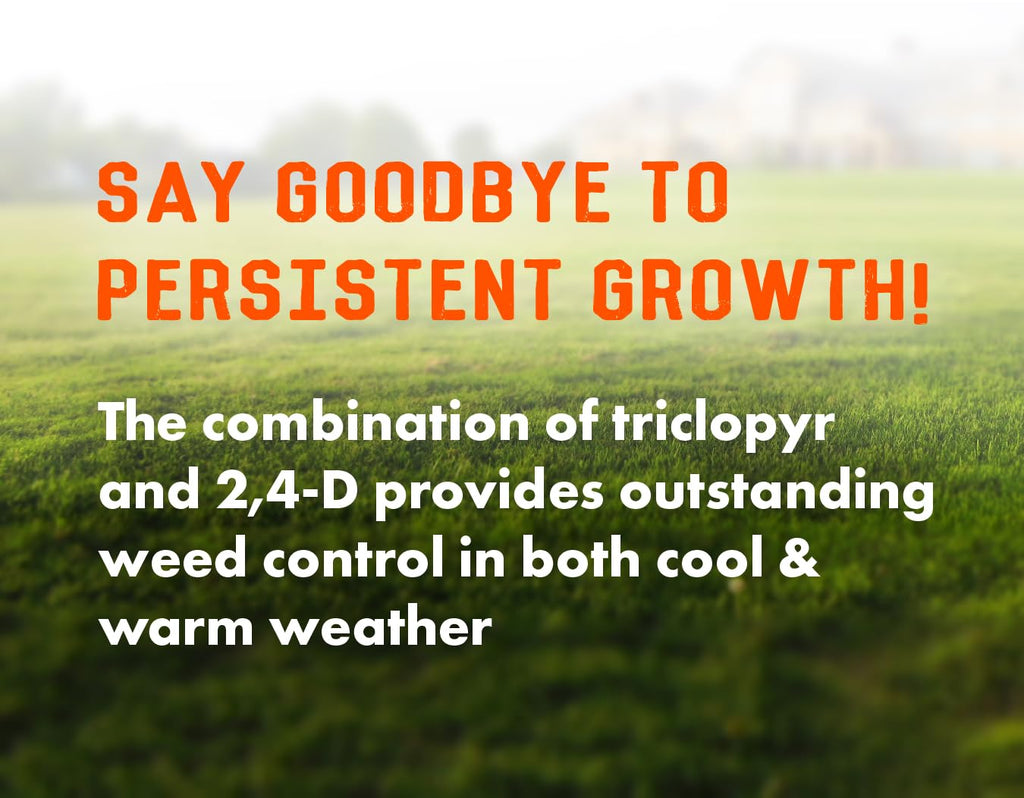 32oz Concentrated Post-Emergent Herbicide for Woody Plants & Broadleaf Weed Control Z9692