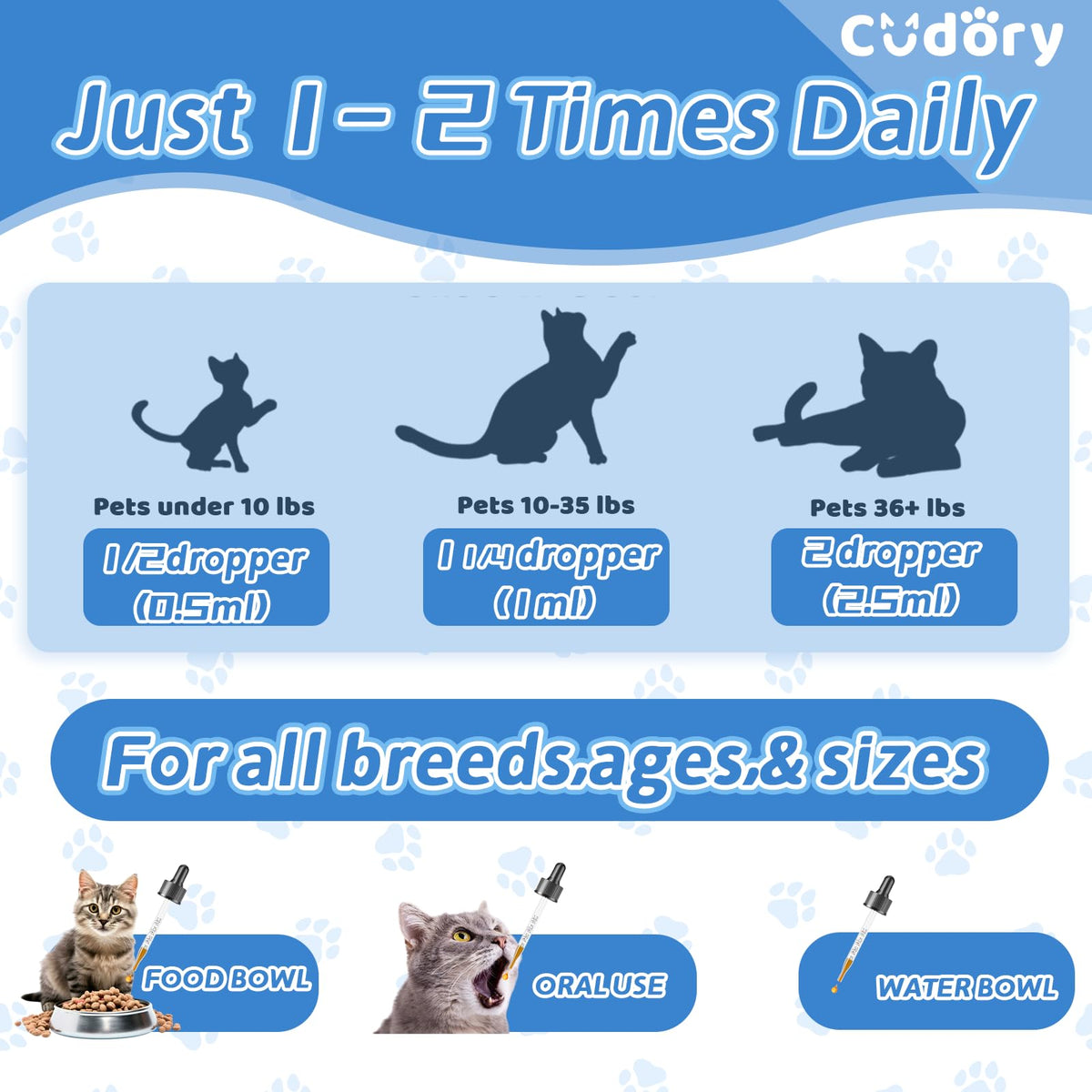 2 fl oz Natural Antibiotics for Cats Y20006