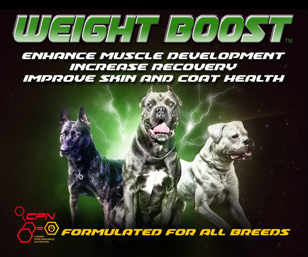 High Calorie Dog Food Supplement 6lb E6833