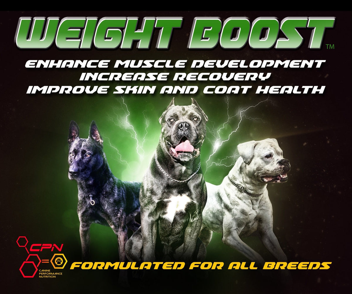High Calorie Dog Food Supplement 6lb E6833