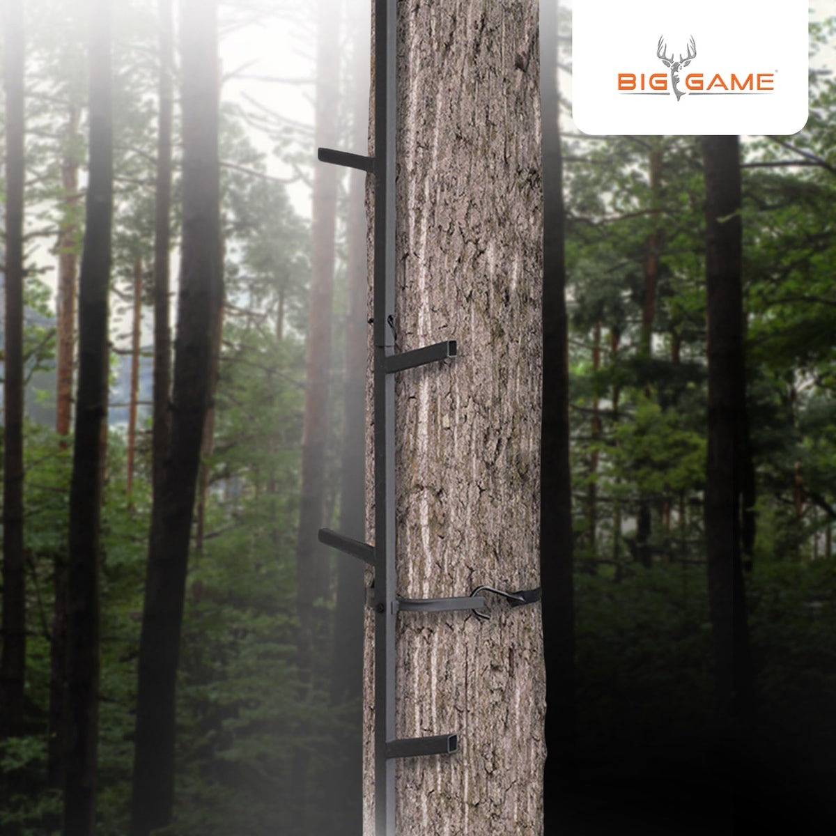 20 Feet Tall Steel Tree Climbing System (2 Pack) M467