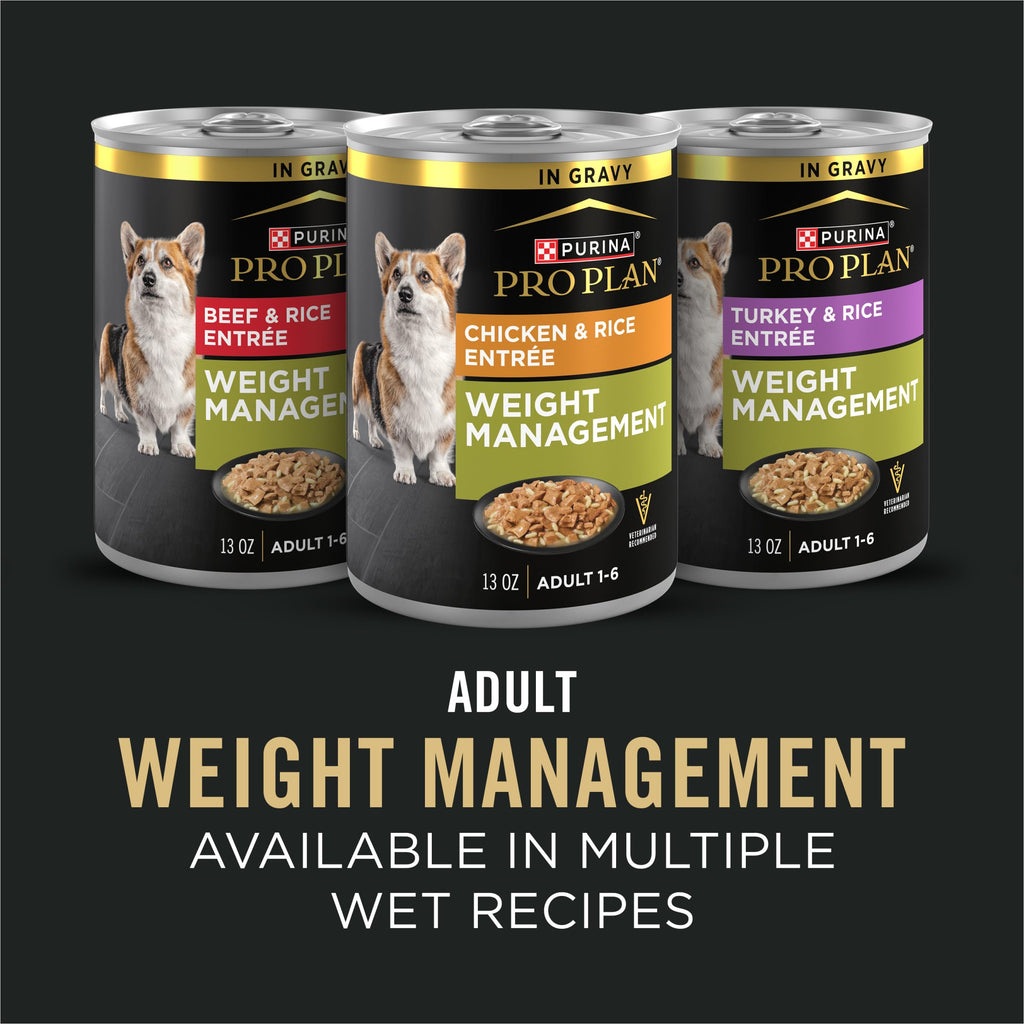 Weight Management Chicken & Rice Dry Dog Food I913