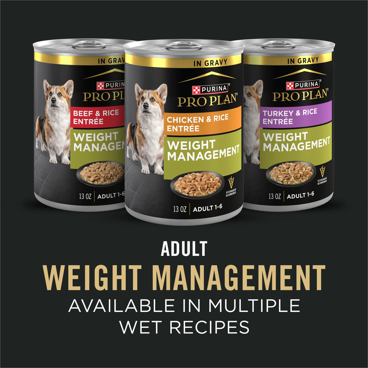 Weight Management Chicken & Rice Dry Dog Food I913