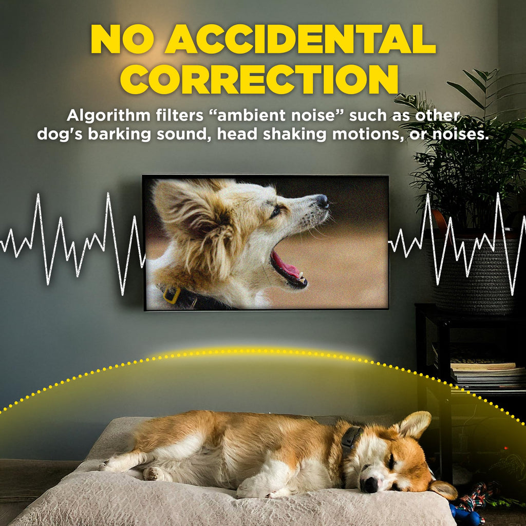 Waterproof E-Collar for 10 lb Dogs G2794