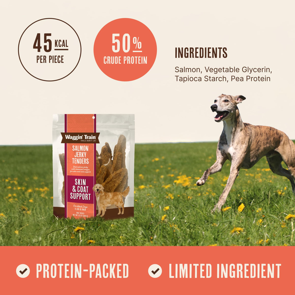 Salmon Jerky Dog Treats 12 oz P149746