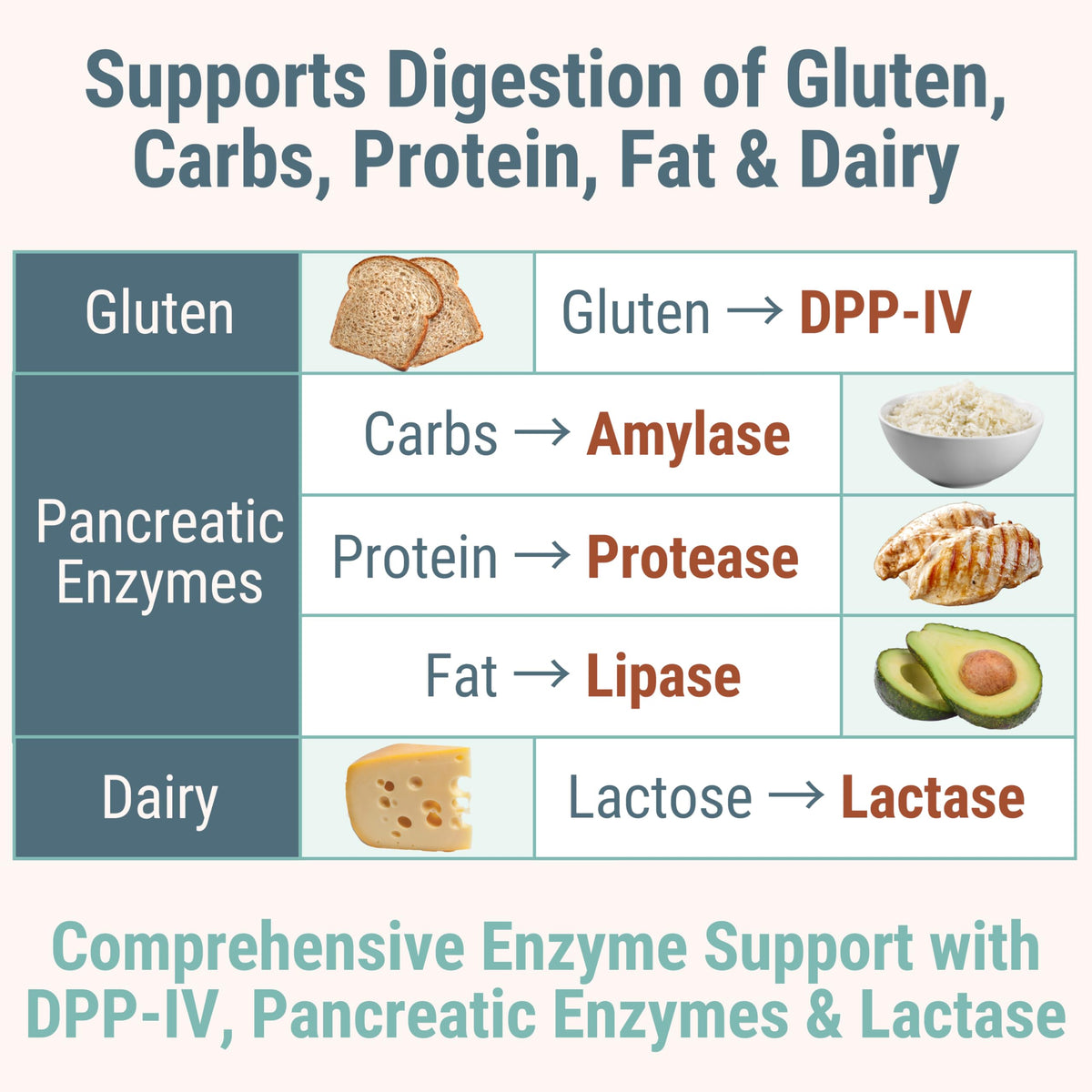 Gluten & Lactase Digestive Enzyme Gummies O71678
