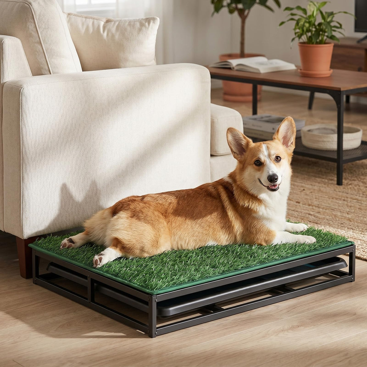 304 Stainless Steel Grass Potty Tray F561