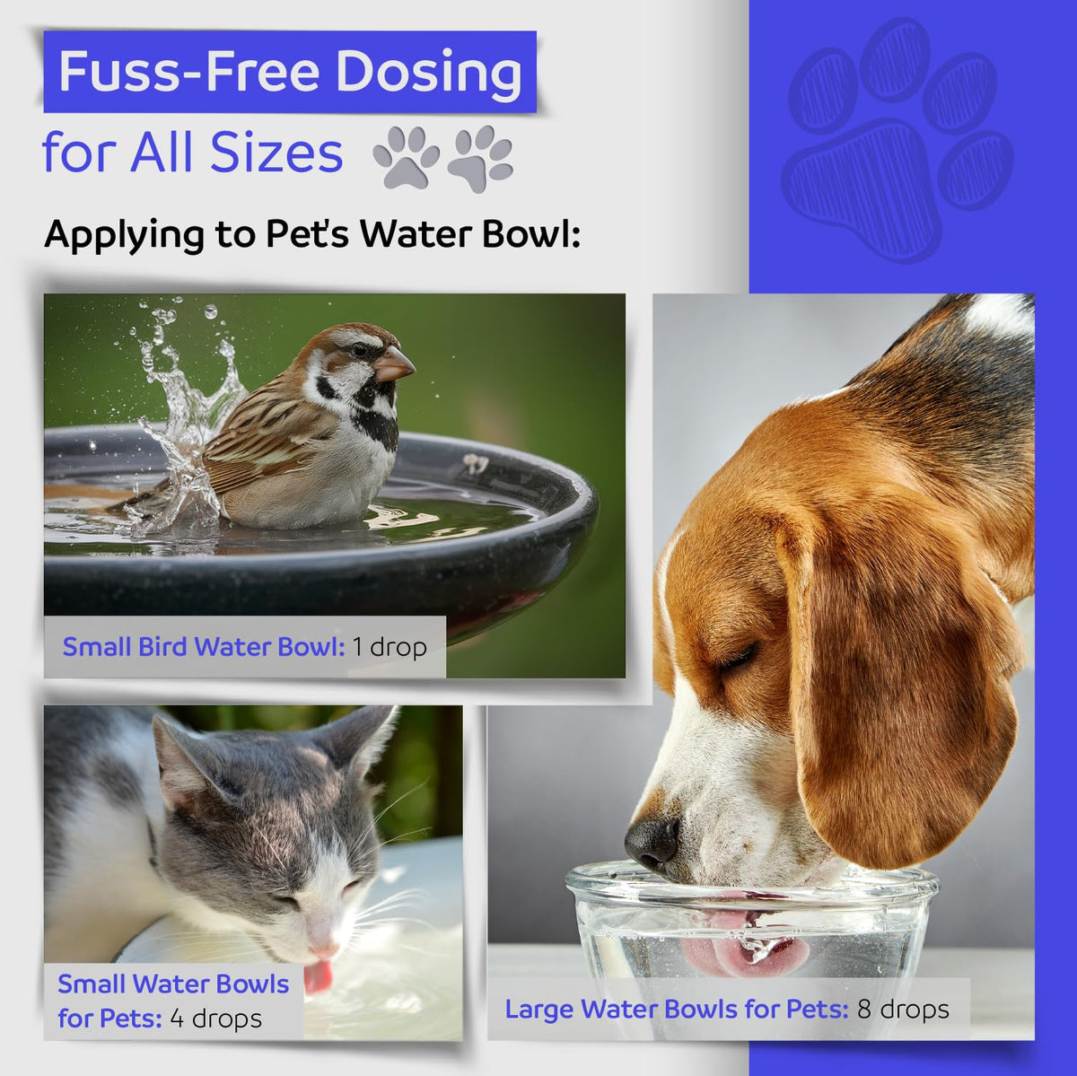 1 oz Natural Flower Essences for Dogs, Cats & Horses K45648