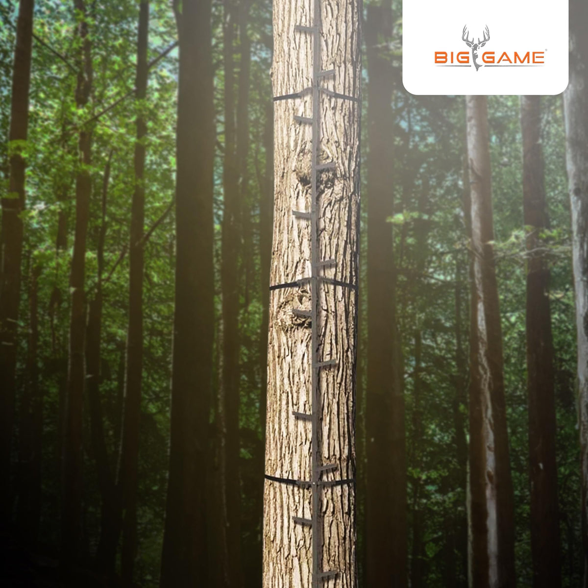 20 Feet Tall Steel Tree Climbing System (2 Pack) M467