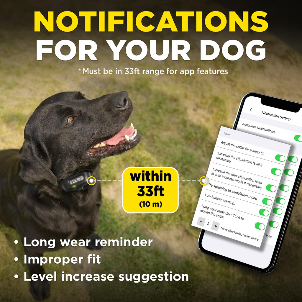 Waterproof E-Collar for 10 lb Dogs G2794