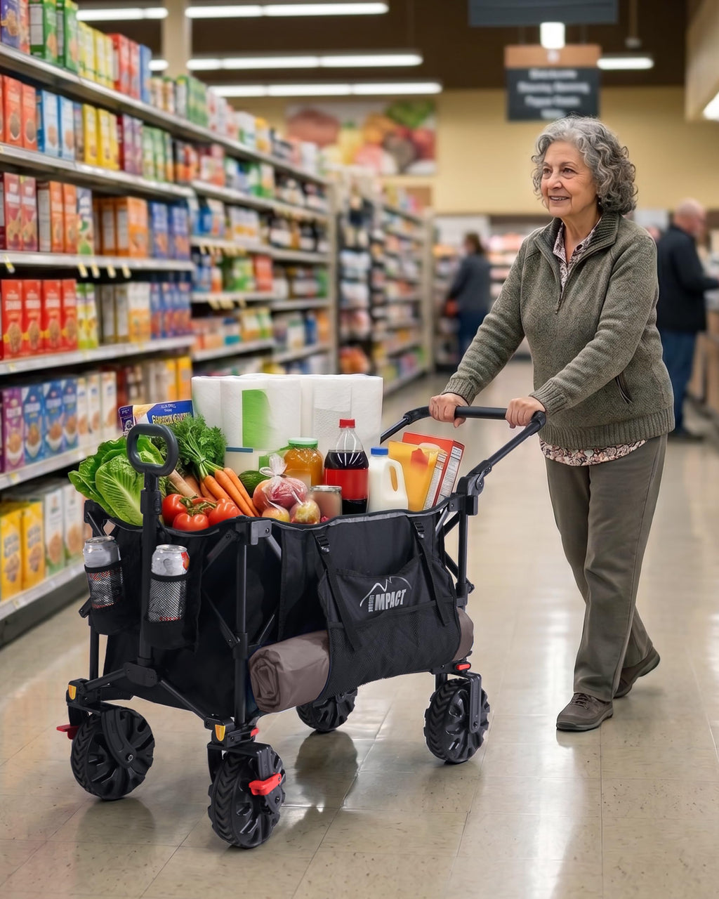 Foldable Push Wagon with Canopy G960