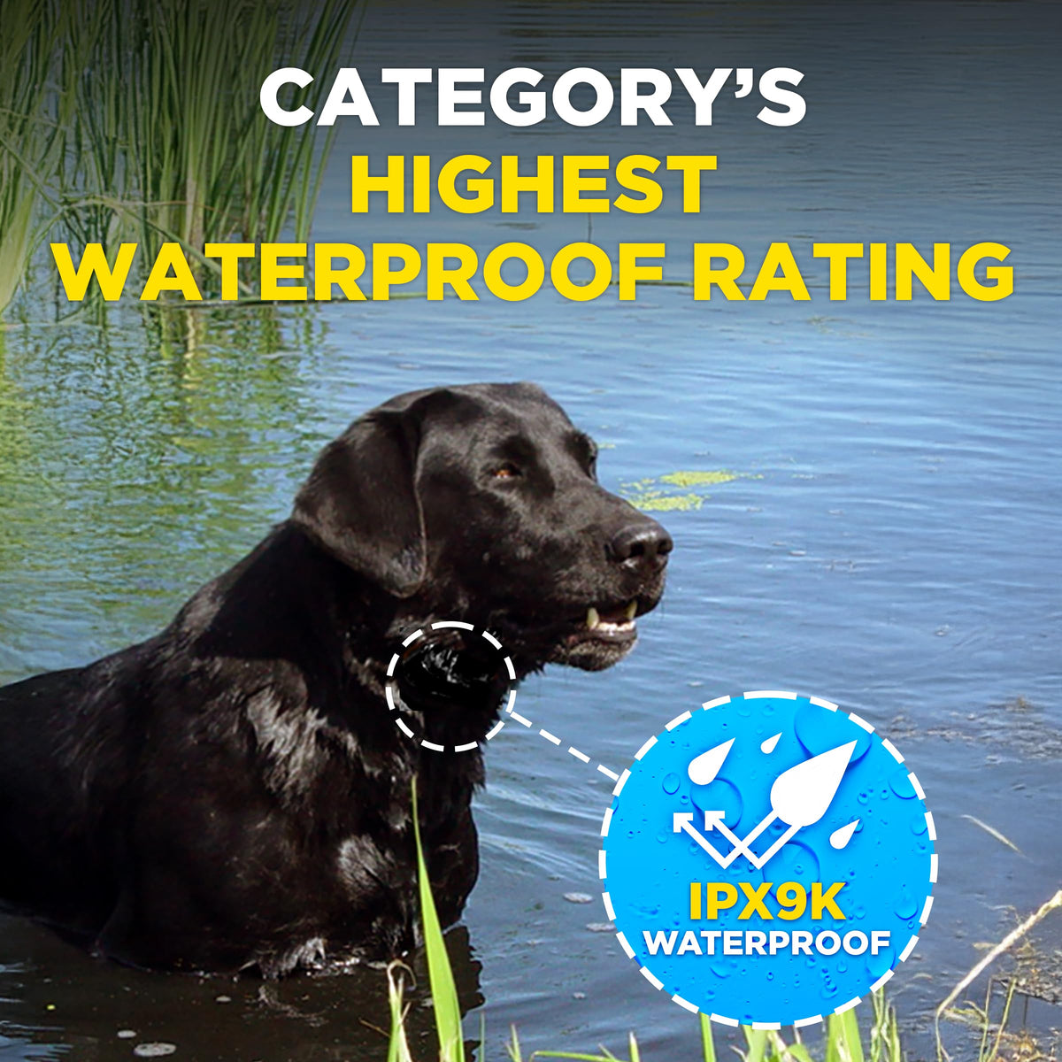 Waterproof E-Collar for 10 lb Dogs G2794
