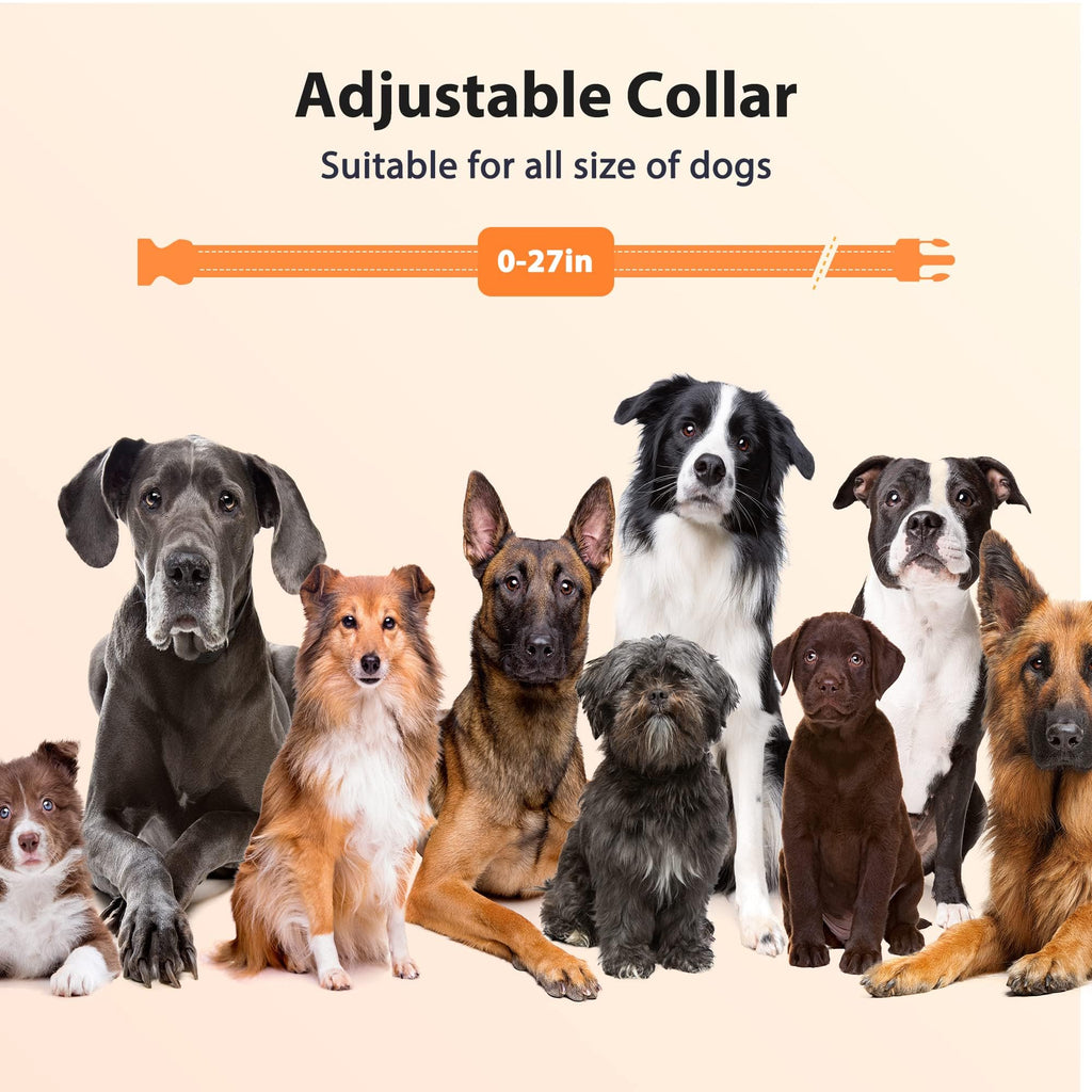 Rechargeable IPX7 Waterproof Dog Training Collar with Remote Q2901