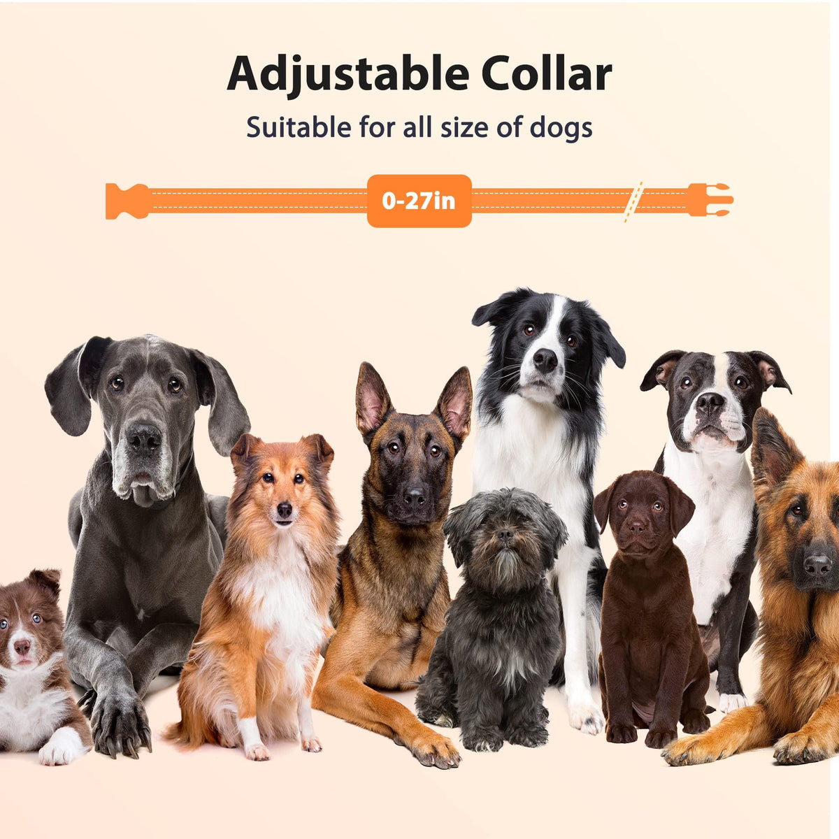 Rechargeable IPX7 Waterproof Dog Training Collar with Remote Q2901