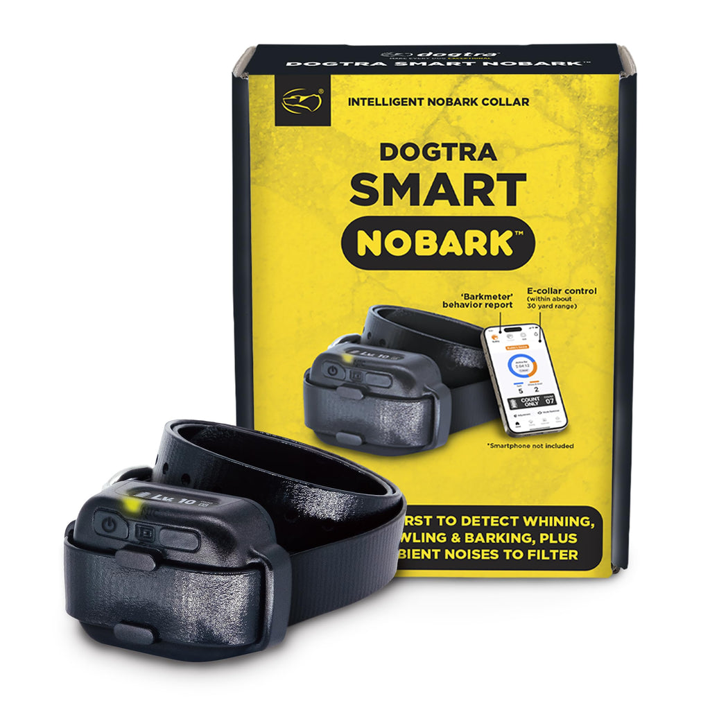 Waterproof E-Collar for 10 lb Dogs G2794