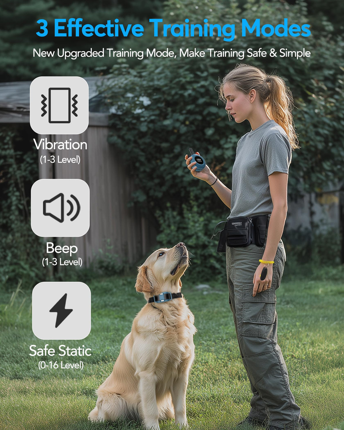 Dog Training Collar with Remote W55911